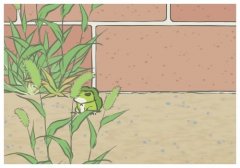 ��픸�¶����ʲô�裿�ײ����Ӆ^�ֺ�