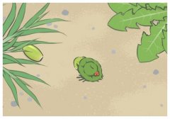 ̫ƽ�������ʲô����Ƥʲô����