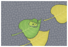 �Ȼ�����Ӿ��߀�ǃ���?Ӿ�º̓�����ʲ